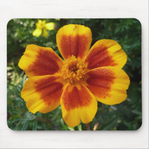 Disco Marigold Orange och Red Summer Flower Musmatta