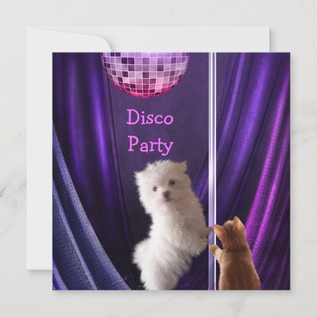 Disco Party Hund Katt Malteser Systerbrud Inbjudningar (Framsida)