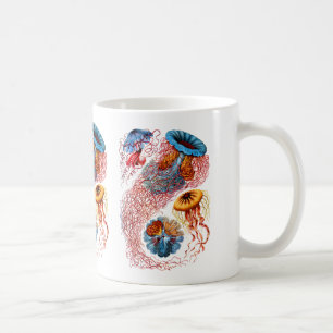 Discomedusae Kaffemugg