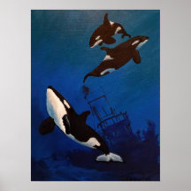 "Discovery" Orca och Wercage