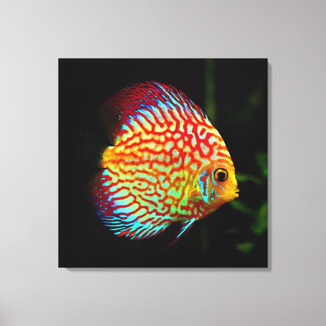 Discus aquarium fish kanvastryck (Framsida)