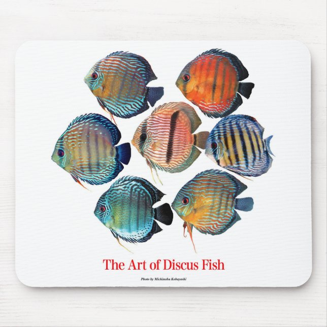 Discus fishのマウスパッド musmatta (Framsidan)