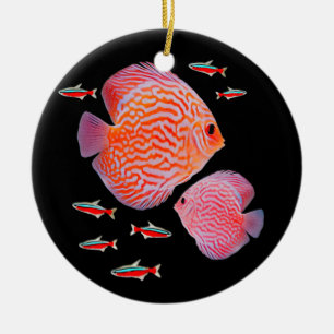 Discus kardinal Tetras Aquarium Fish Tank Älskare Julgransprydnad Keramik