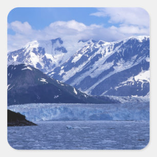 Disenchantment Bay och Hubbard Glacier, Fyrkantigt Klistermärke