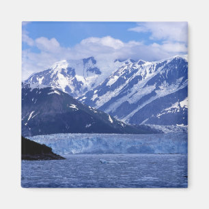 Disenchantment Bay och Hubbard Glacier, Magnet