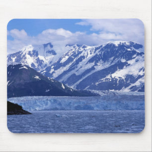Disenchantment Bay och Hubbard Glacier, Musmatta