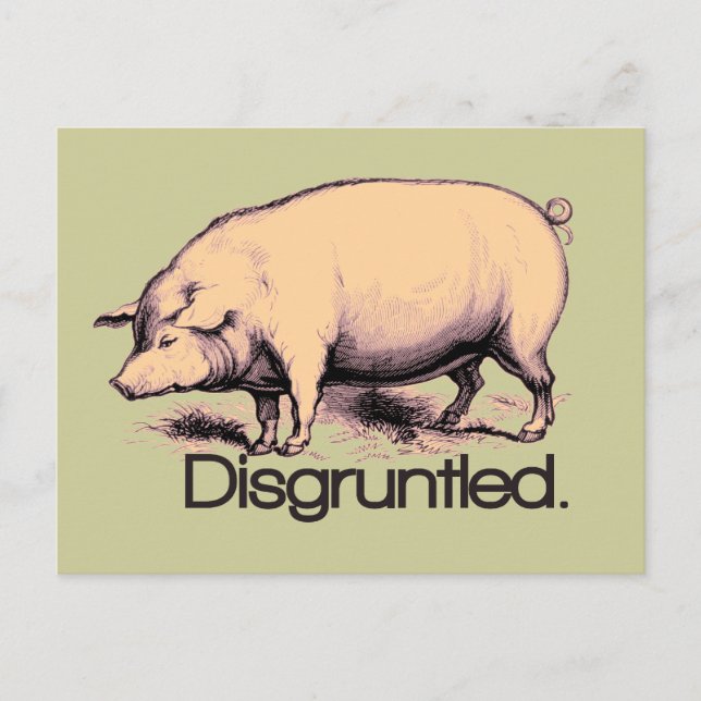 Disgruntled Gris Vykort (Framsida)