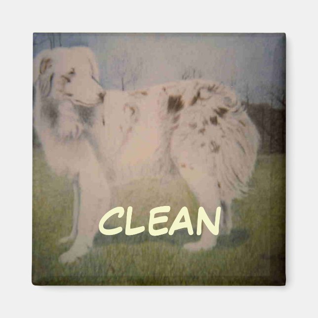 Dish Washer Status Magnet (Framsidan)