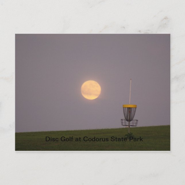 Disk Golf Vykort (Framsida)