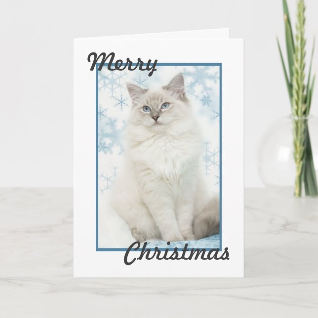 Diskdollchristmas-kort Helgkort (Framsida)