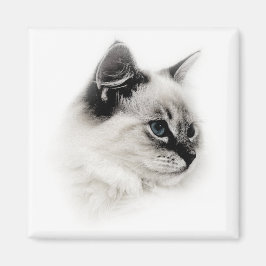 Diskdollmagnet Magnet