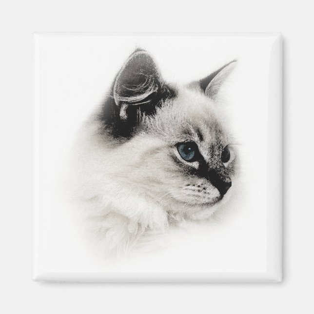 Diskdollmagnet Magnet (Framsidan)