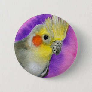 DiskoCockatiel Knapp