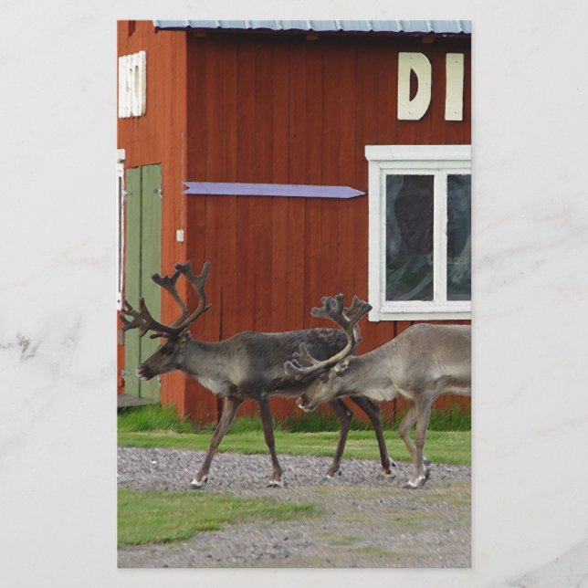 DISKOHJORT BREVPAPPER (Framsida)