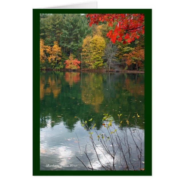 Diskret magnetism i naturen: Walden Pond Hälsningskort (Framsidan)