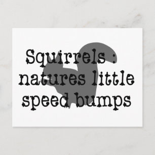 Diskret: Natures Little Speedalbumins Vykort