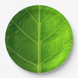 Disponibel papperstallrikar för tropiskt löv