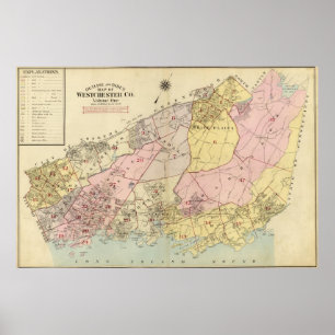 Disposition, index karta Westchester County Poster