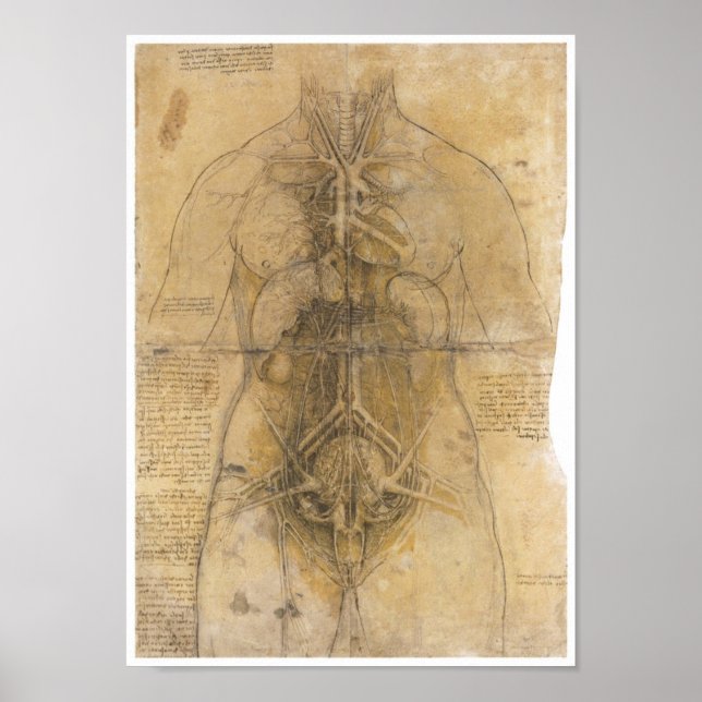 Dissekering av organ från en kvinna, Da Vinci Poster (Framsidan)