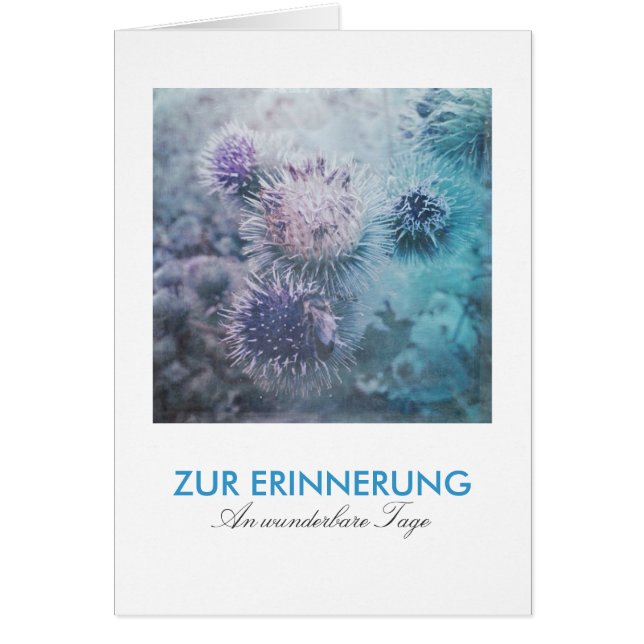 Distelblüten Hälsningskort (Framsidan)