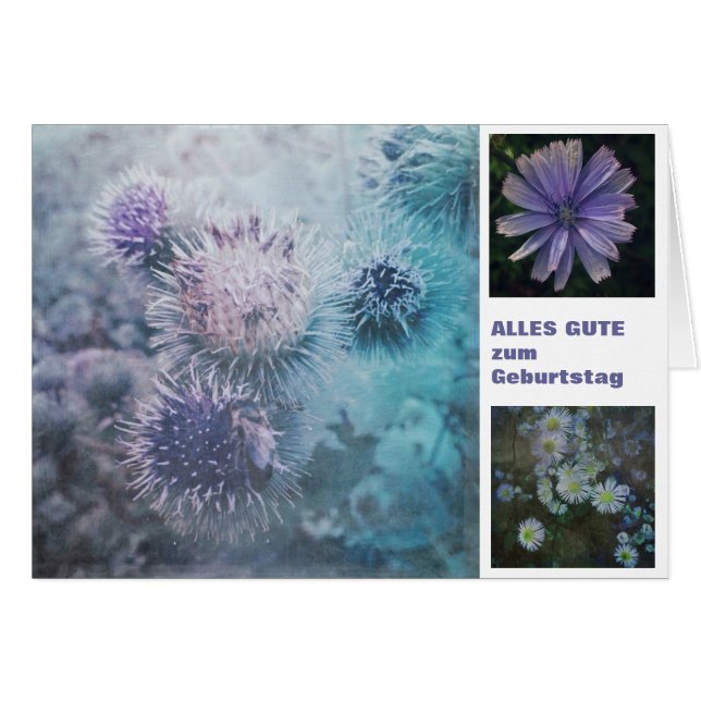 Distelblüten Hälsningskort (Framsidan Horizontal)