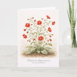 Distracta dispersissima - Den spridda blomman Kort