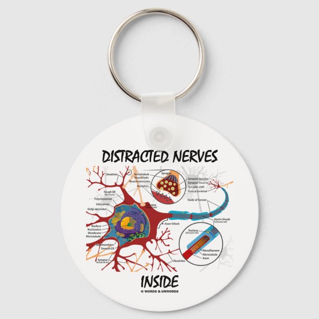Distraherade nerver inuti (synapse) nyckelring (Framsida)