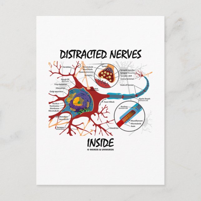 Distraherade nerver inuti (synapse) vykort (Framsida)