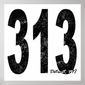 Distress Detroit 313 Poster