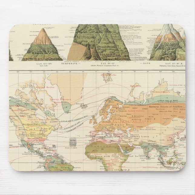 Distribution vegetation musmatta (Framsidan)