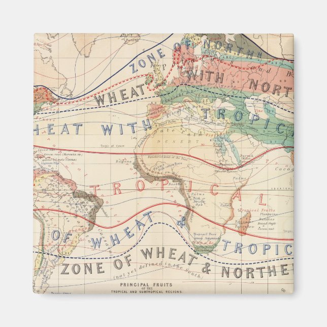 Distributionsanläggningar Magnet (Framsidan)