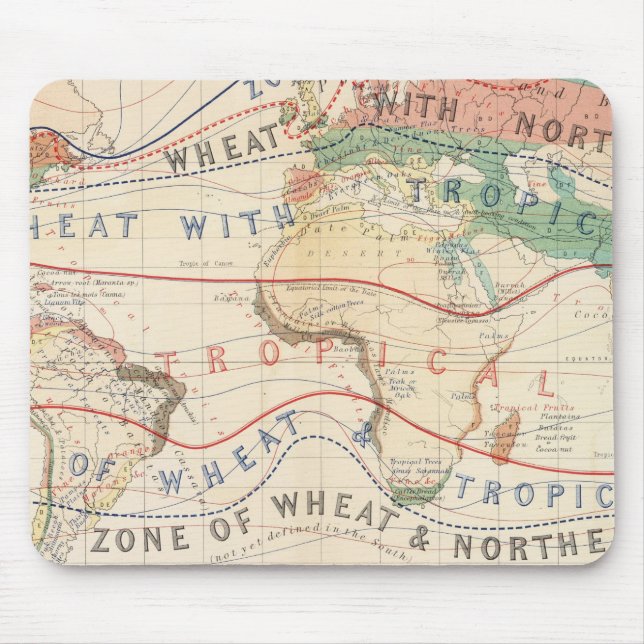 Distributionsanläggningar Musmatta (Framsidan)