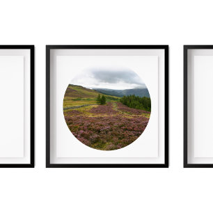 distriktet Keswick Sjö, Hike Fält of Heather Photo Poster