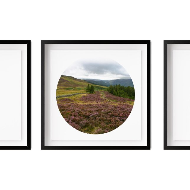 distriktet Keswick Sjö, Hike Fält of Heather Photo Poster (Skapare uppladdad)