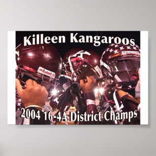Distriktskammare Poster