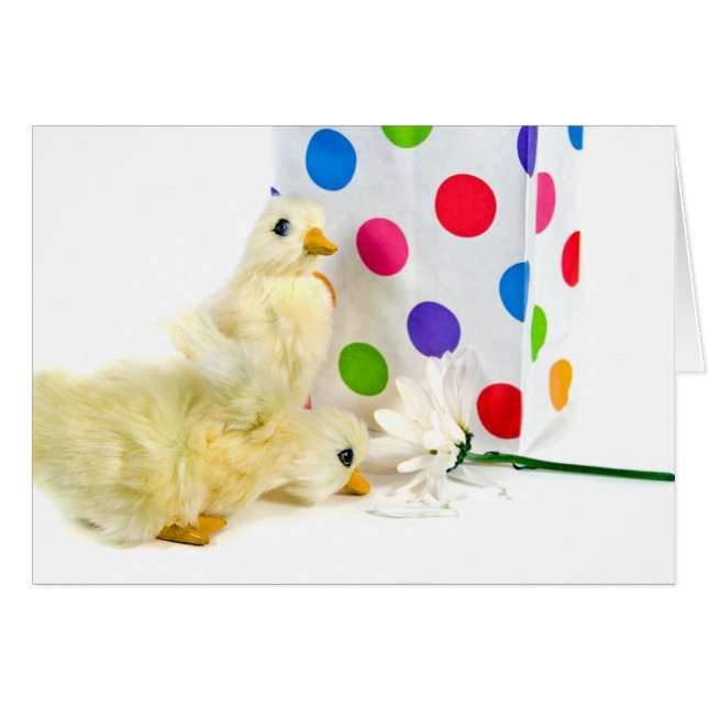 Dit, Ankor och Daisy Hälsningskort (Framsidan Horizontal)