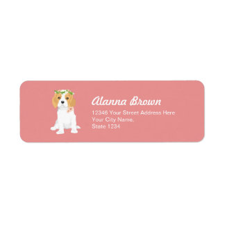 Dita The Blenheim Cavalier Kung Charles Spain Returadress Etikett