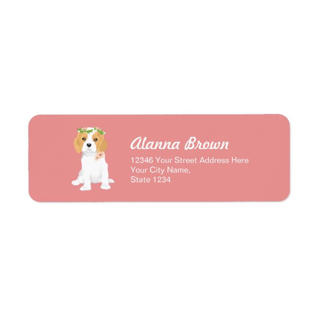 Dita The Blenheim Cavalier Kung Charles Spain Returadress Etikett (Framsidan)