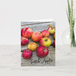 Ditch Apples Kort