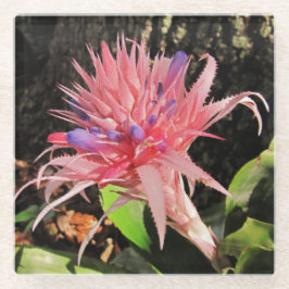 Ditt Anpassningsbar Glass Underlägg