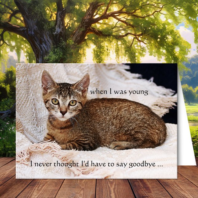 Ditt Cat Photo Sympathy Greeting Card Hälsningskort (Cat sympathy custom photo condolences greeting card)