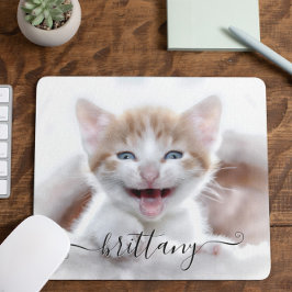 Ditt Cute Family Pet Kitten Photo Musmatta