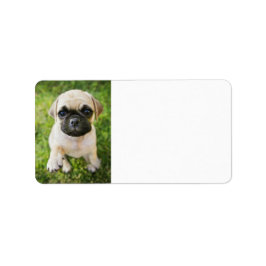 Ditt Cute Pet Photo Anpassningsbar Adress Adressetikett