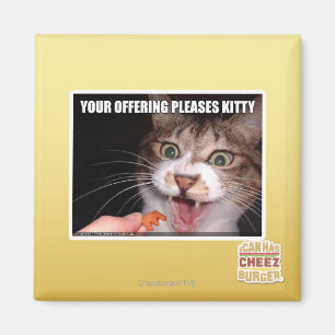 Ditt erbjuda behar kattunge magnet