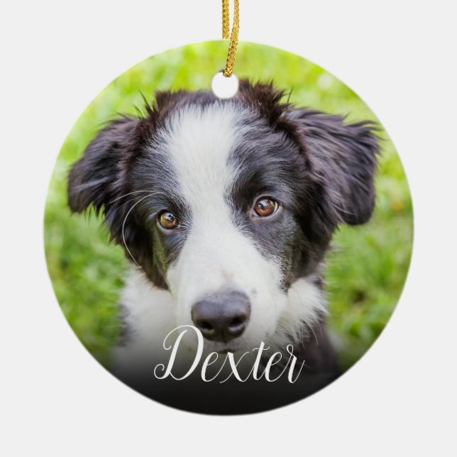 Ditt Favorit Husdjur Foto Julgransprydnad Keramik (Framsidan)
