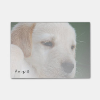 Ditt foto automatiskt bleknar gradvist post-it block