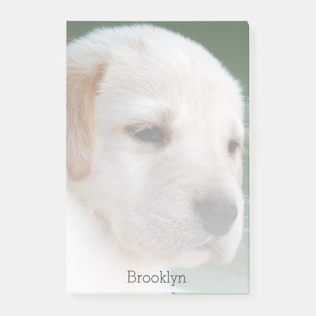 Ditt foto automatiskt bleknar gradvist post-it block (Framsida)