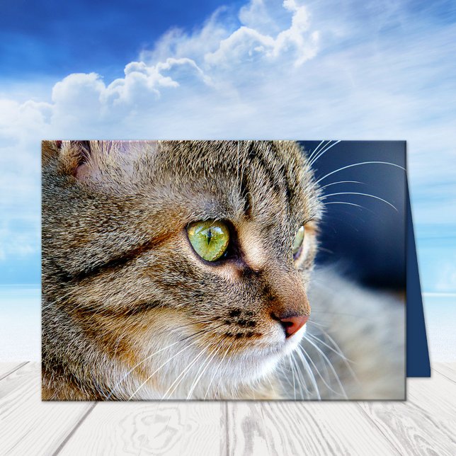 Ditt foto Cat Condolations Sympathy Greeting Card Kort (A beautiful cat sympathy card featuring your own photo (optional) with custom comforting texts)