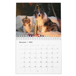Ditt foto här - Anpassningsbar Hund Fotokalender Kalender