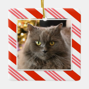 Ditt fotoutbrott i Candy cane Julgransprydnad Keramik